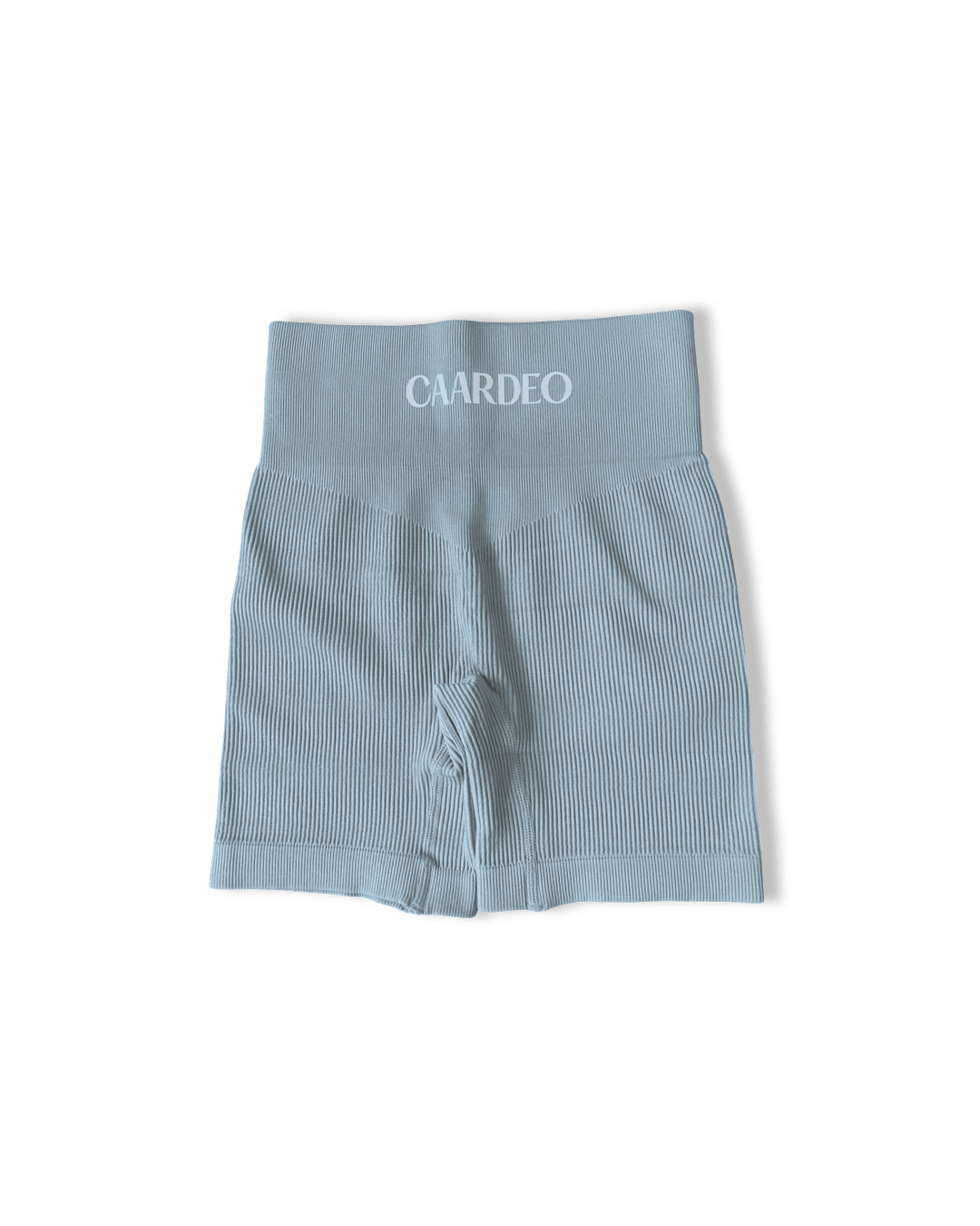 Lyla Seamless Shorts / Blue - CAARDEO Active